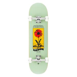 Arbor - Street Daisy 8,25" - skateboard