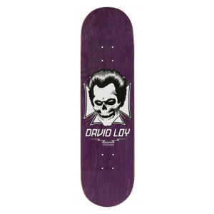 Birdhouse - Loy Skull 8.38" - deska