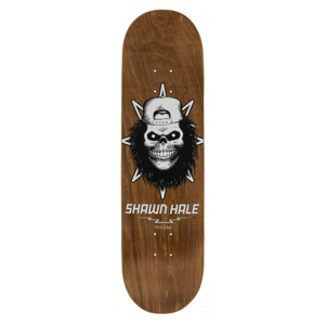 Birdhouse - Hale Skull 8.5"  - deska