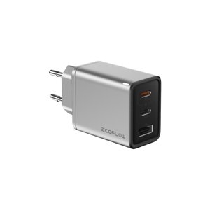 ECOFLOW 1ECORAP65WCH